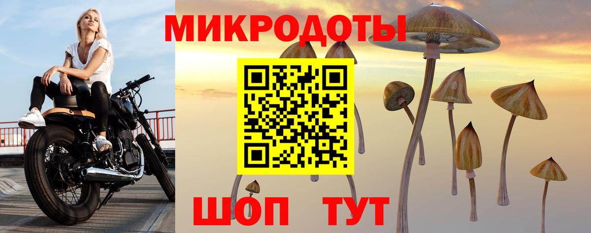 Великие Луки  Псилоцибиновые грибы GOLDEN TEACHER  Вход с VPN  Галлюциногенные грибы Psilocybine cubensis 